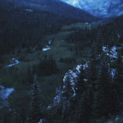 WinterForestFeatured