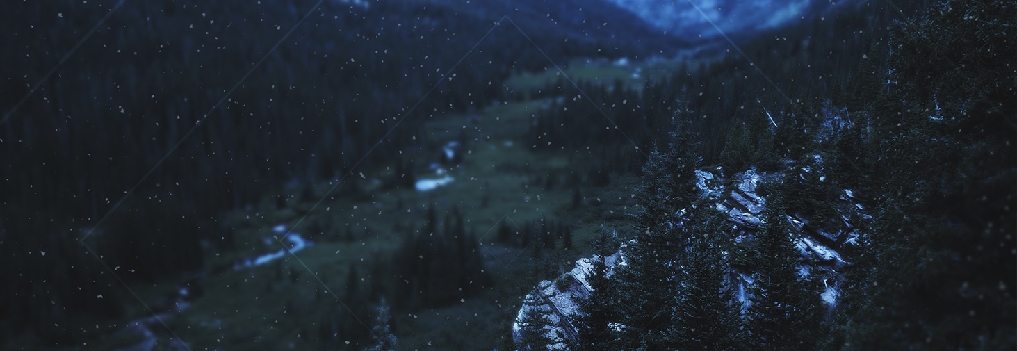 winterforest | 1000+ Royalty Free Motion Backgrounds and Video Loops